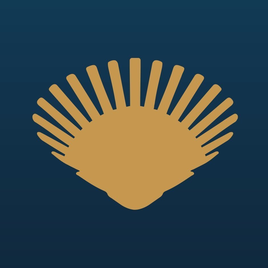 453375029_1013153943441659_8701805773212881062_n.